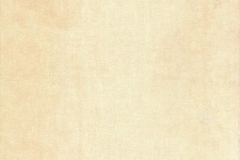 Close-up of a light beige linen fabric texture, serving as the backdrop for stain-removal guidance.