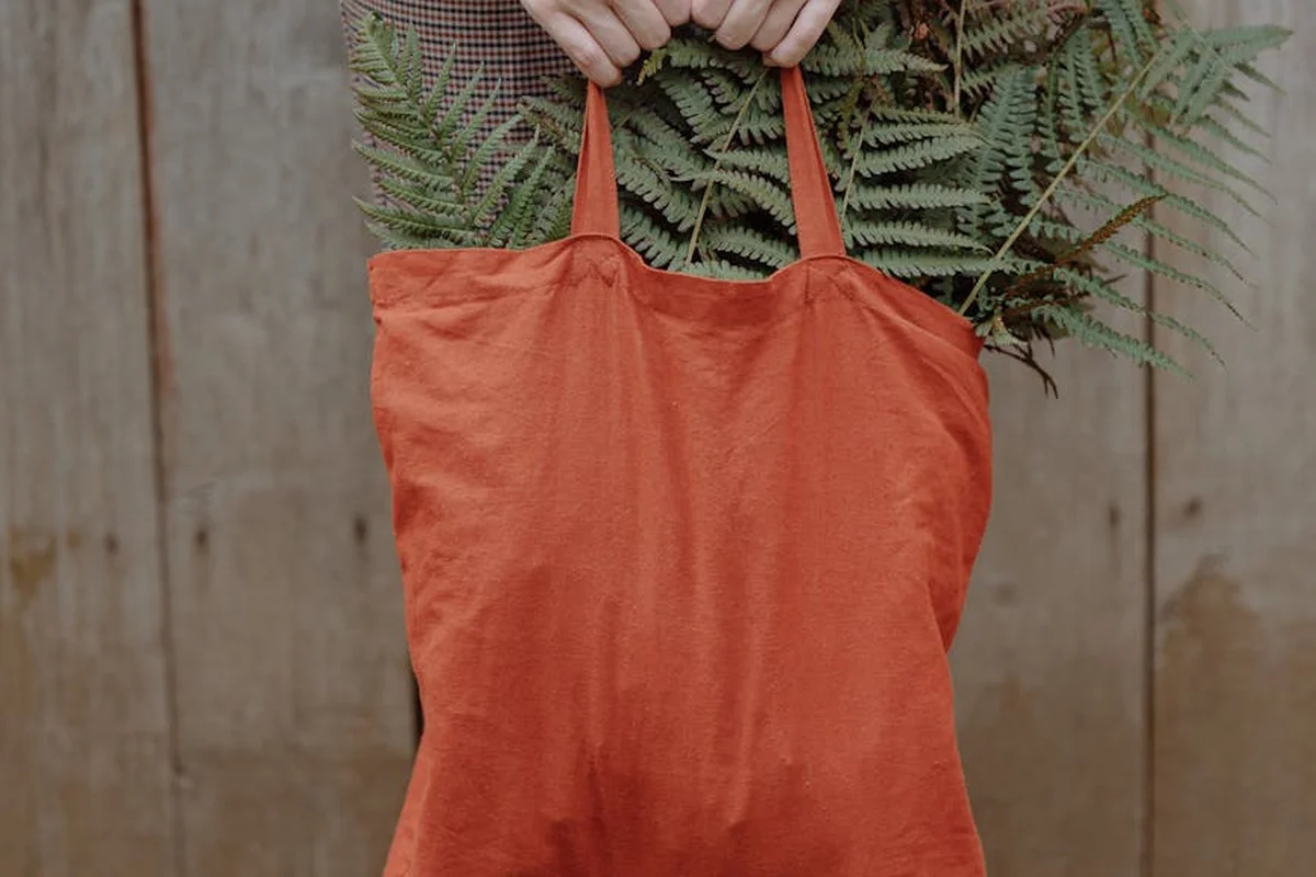 Hands holding an orange reusable tote bag with green fern-like leaves peeking over the top, against a wooden fence.