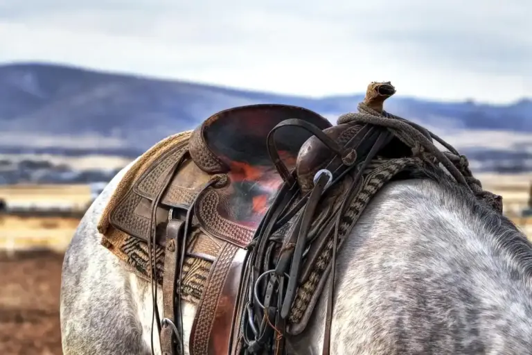 Western saddle on a gray horse in an open landscape with distant mountains.