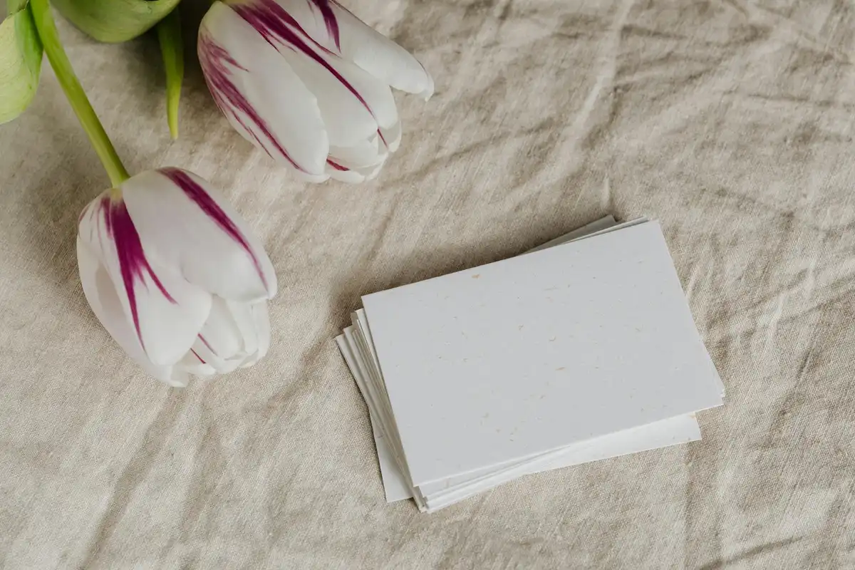 White tulips with purple-tinged edges lying on a beige linen surface, beside a small stack of white cards.