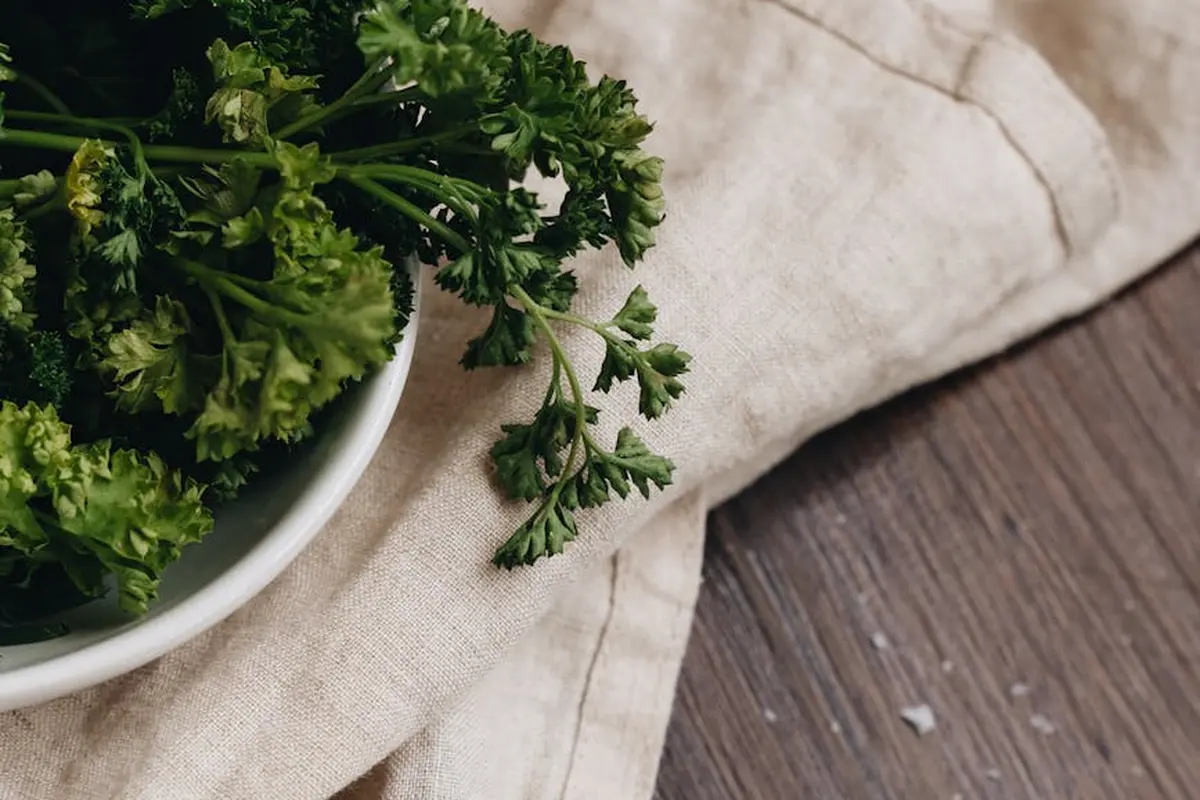 Fresh parsley on light, undyed linen fabric laid over a wooden surface.