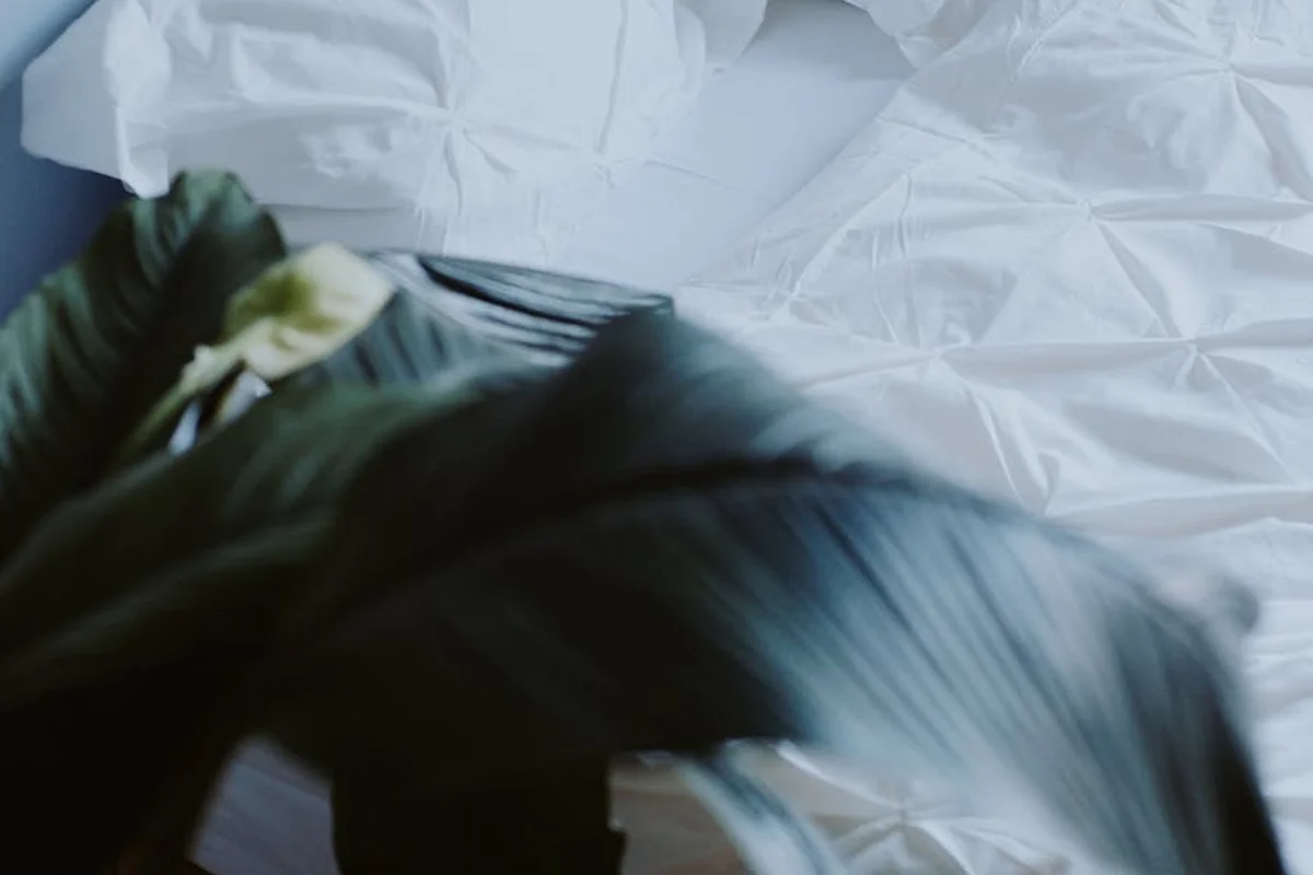 Close-up of white linen fabric with a dark green leaf in the foreground