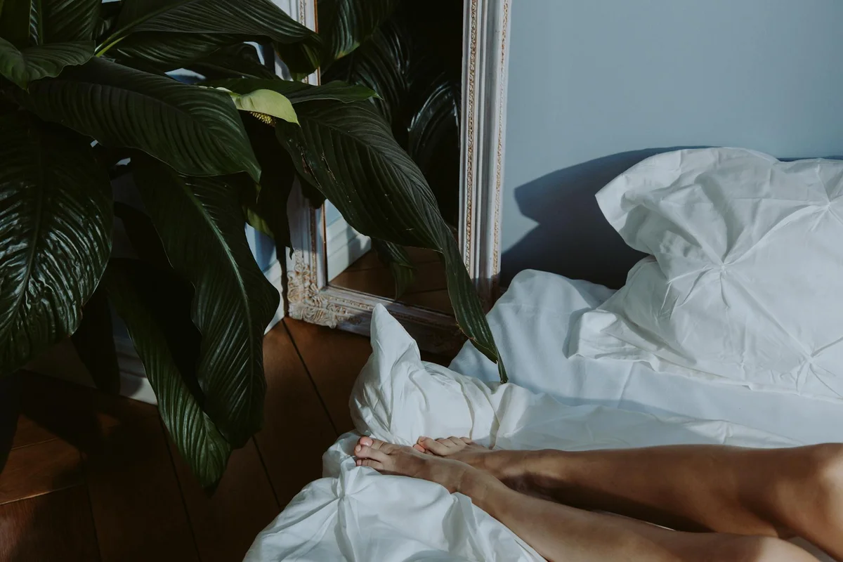 Bedroom scene with a bed dressed in white linens, a large green plant beside a doorway, and soft natural light.
