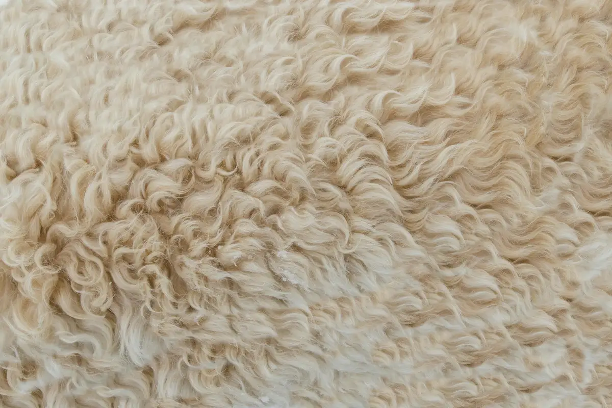 Close-up of soft, curly beige fabric texture resembling faux shearling