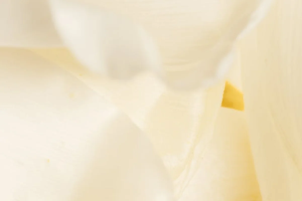 Close-up of pale cream nylon fabric with soft folds and a subtle sheen