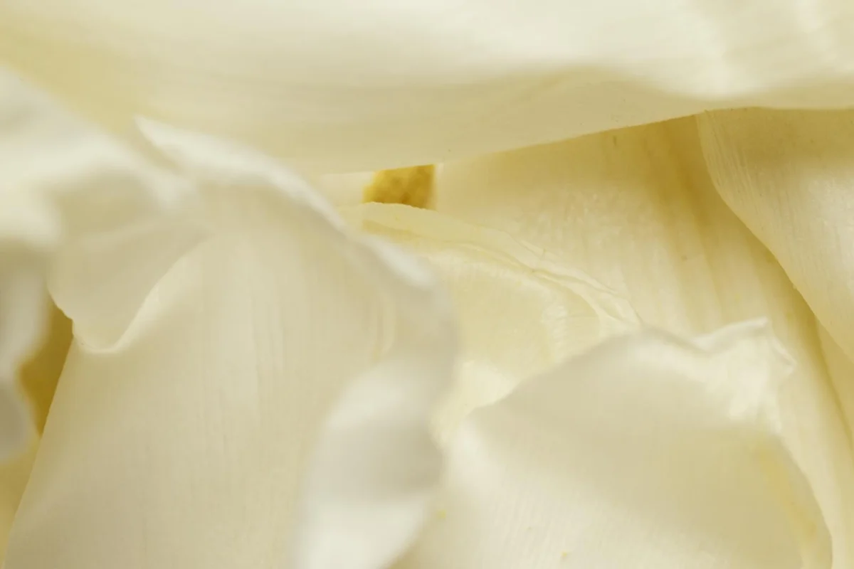Close-up of cream-colored silk fabric with soft folds and a subtle sheen.