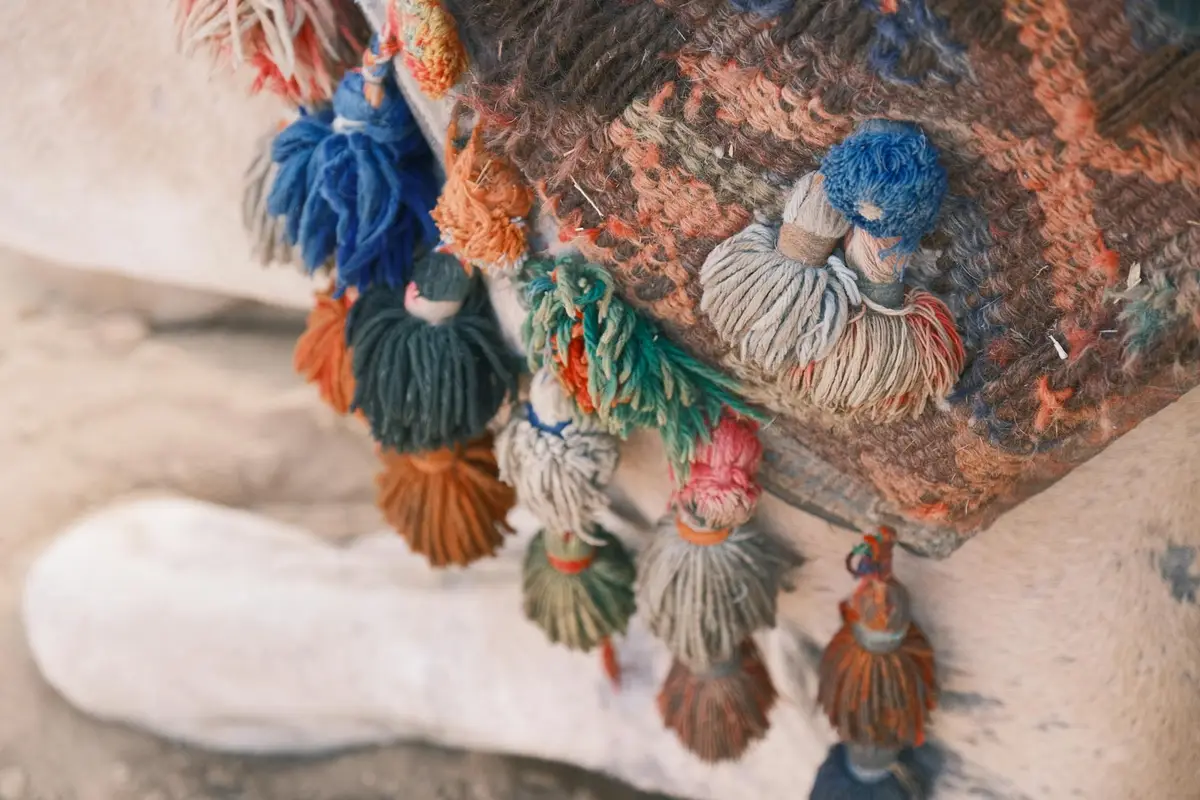 Close-up of colorful tassels on a woven fabric, illustrating nylon textile care.